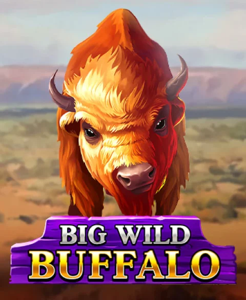 Play Big Wild Buffalo at Wallace Bet Casino